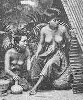 Siamesinnen der unteren Staende  (6.2 K)